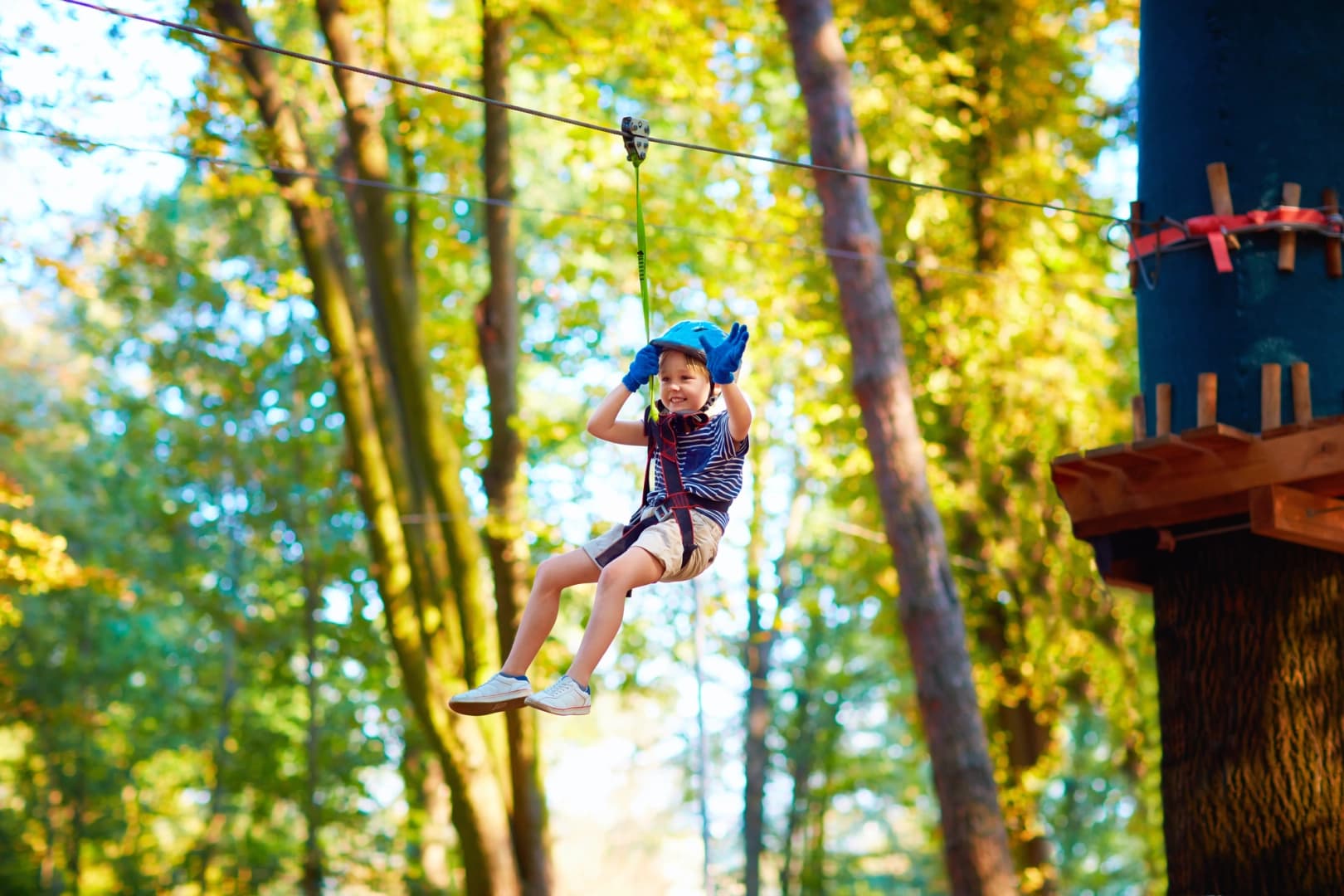 Adventureworks Zipline Forest