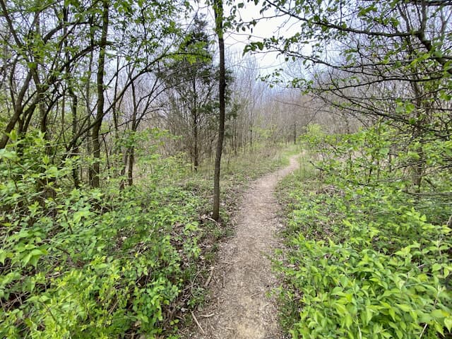 Harpeth River Greenway