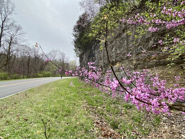 Natchez Trace Parkway